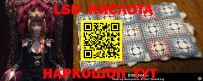 mdpv Гай
