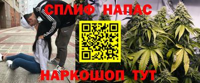 mdpv Гай
