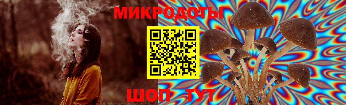 Псилоцибиновые грибы ЛСД  Галлюциногенные грибы Psilocybine cubensis  Конаково  Вход с VPN 
